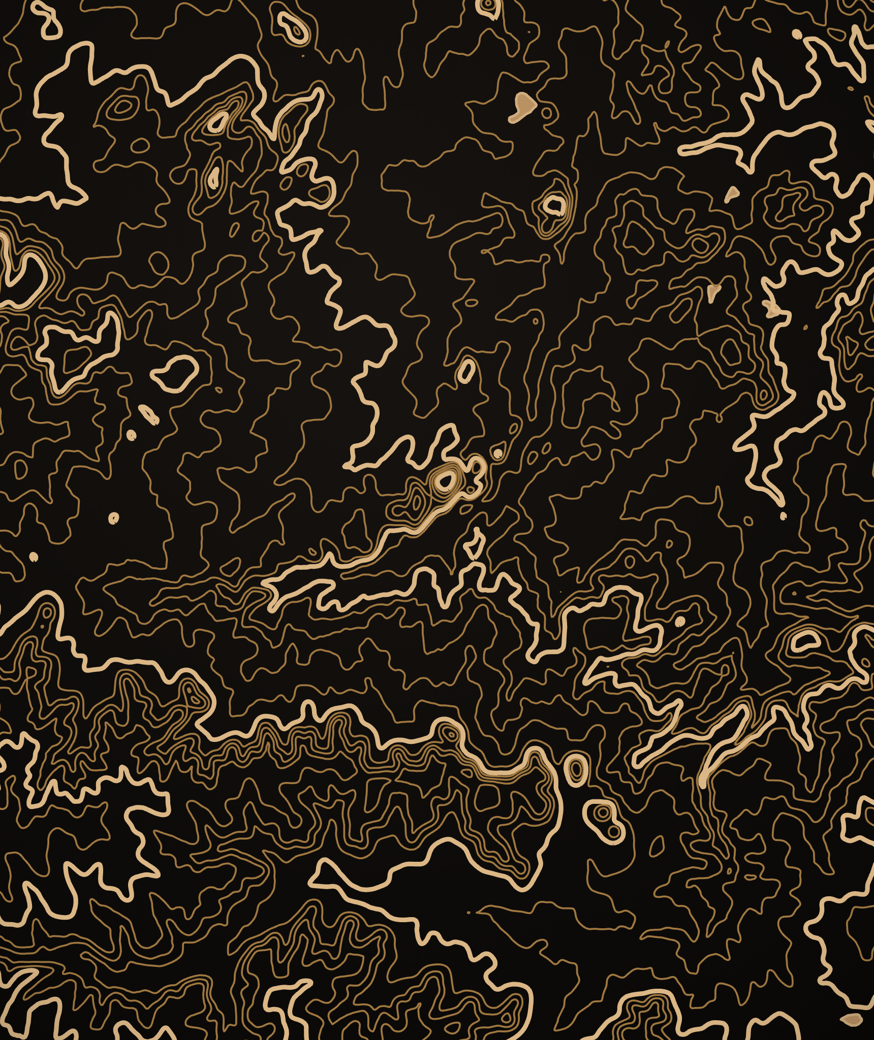 Central Texas topographic art print — real USGS contours, brass on black, print-ready download