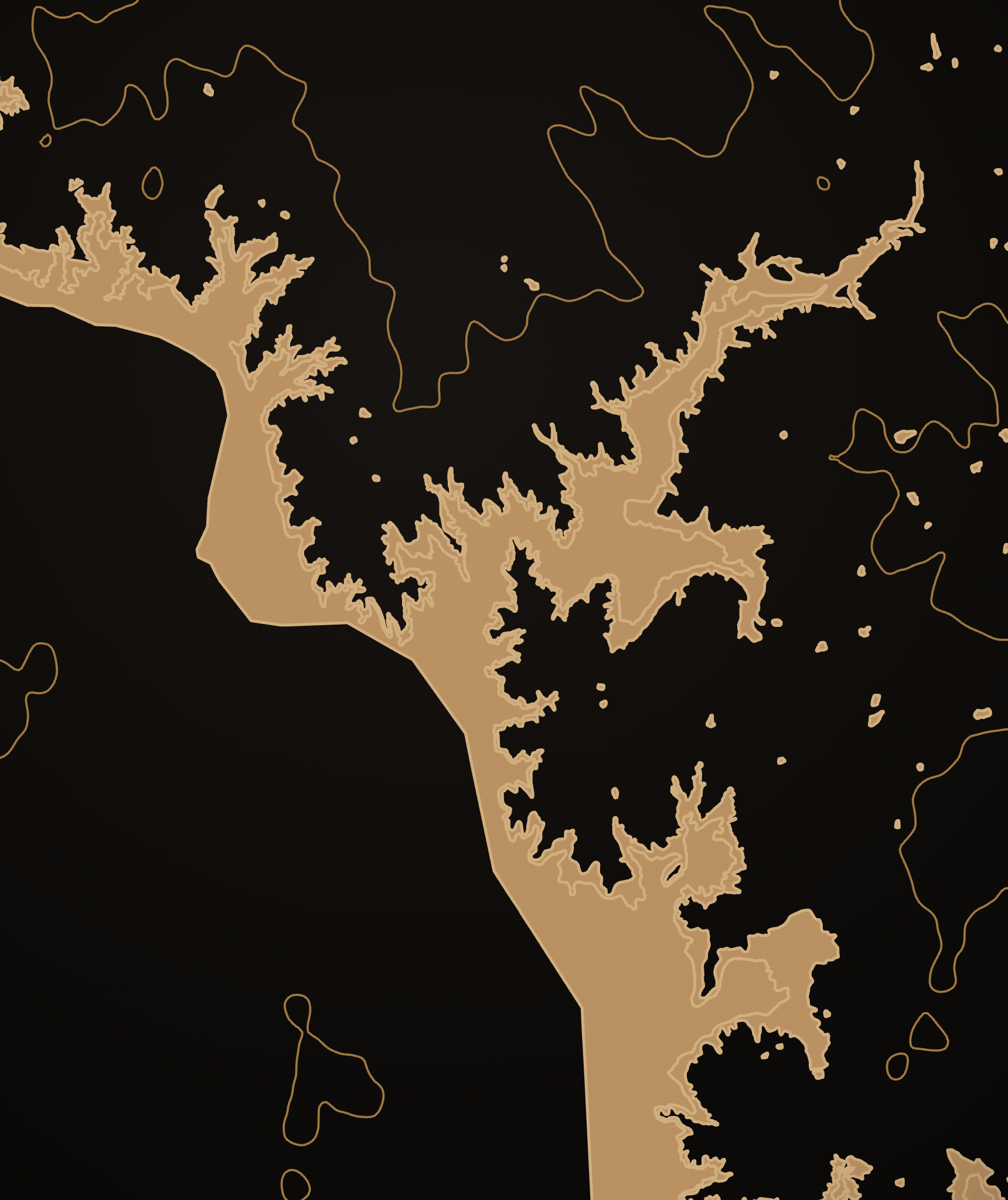 South Texas map art print — Falcon Lake in gold on black, print-ready download